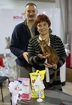 �������� ����� 22-23 ������ 2014 WCF-����� 8-72-169A8234 copy.jpg